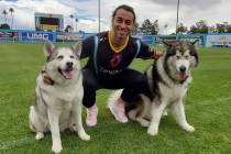 Midfielder Jonathan Levin accompanies his pair of Alaskan malamute huskies. Levin says "they're ...