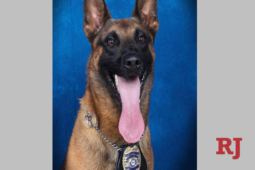 In this undated image released by the Gwinnett County (Ga.) Police, police dog Eli, sits for an ...