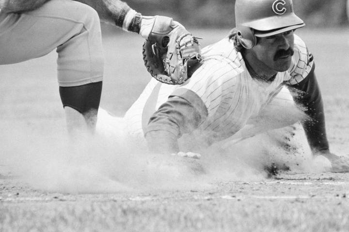 Chicago Cubs Bill Buckner takes some soil samples on his way back to first base in home action ...