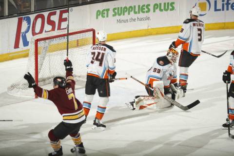 Chicago Wolves forward Daniel Carr (7) celebrates a goal during third period Monday against the ...