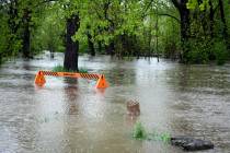 Rapid Creek overflows its banks May 28, 2019, covering up a parks department barricade near the ...