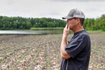 Jeff Jorgenson looks over a partially flooded field May 29, 2019, that he farms near Shenandoah ...