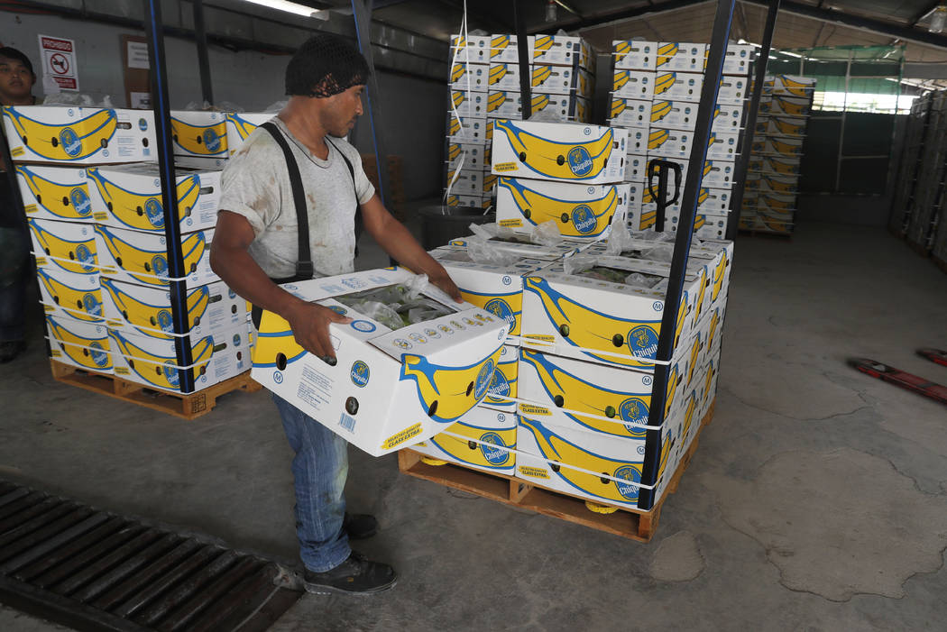A worker stacks a box of freshly harvested Chiquita bananas to be exported, at a farm in Ciudad ...
