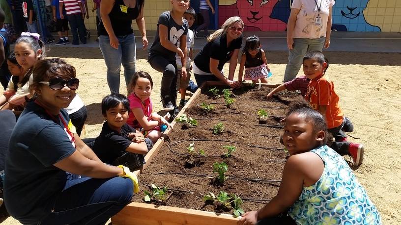 Students at Lake Elementary School are seen after their garden expansion. (Green Our Planet)