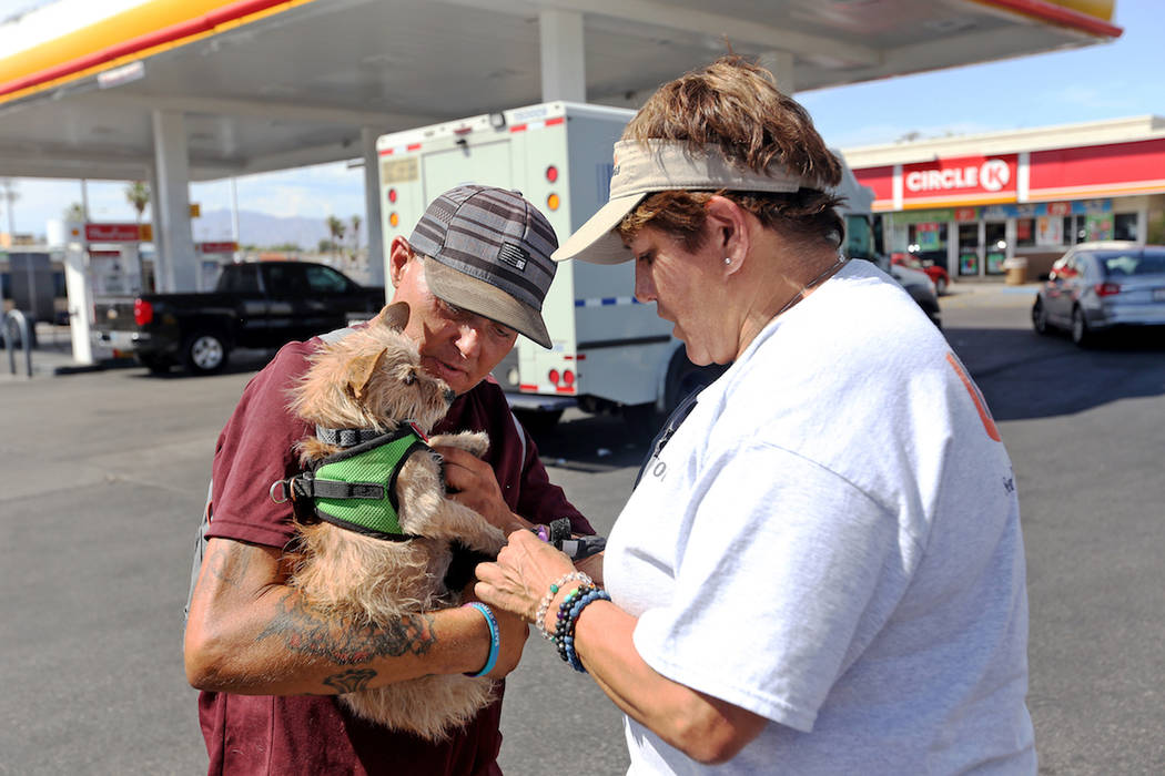 Cynthia Miyamoto, found of Urban Underdogs, puts dog booties on Karma as she is held by her own ...