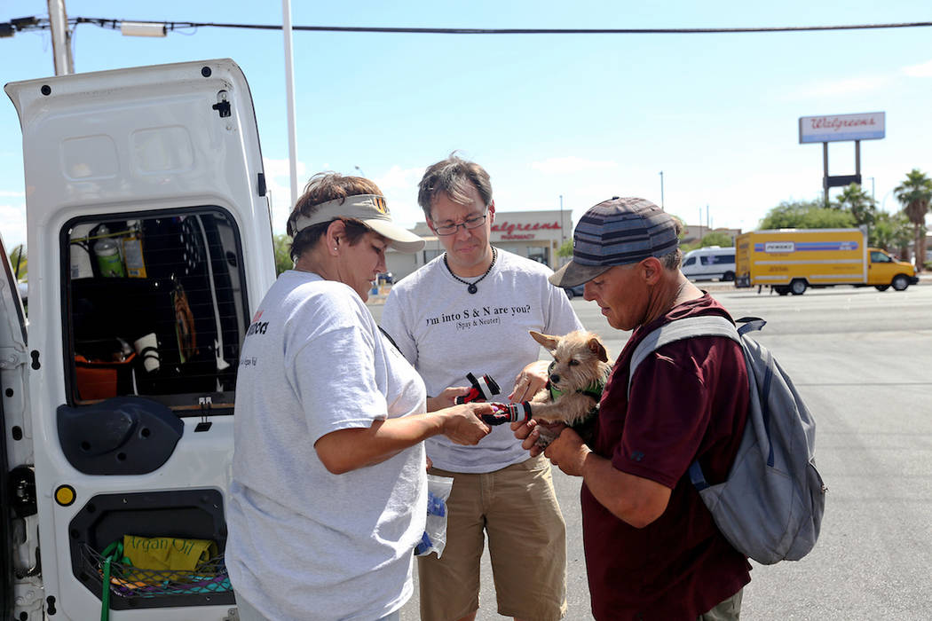 Cynthia Miyamoto, founder of Urban Underdogs, puts dog booties on Karma as she is held by her o ...