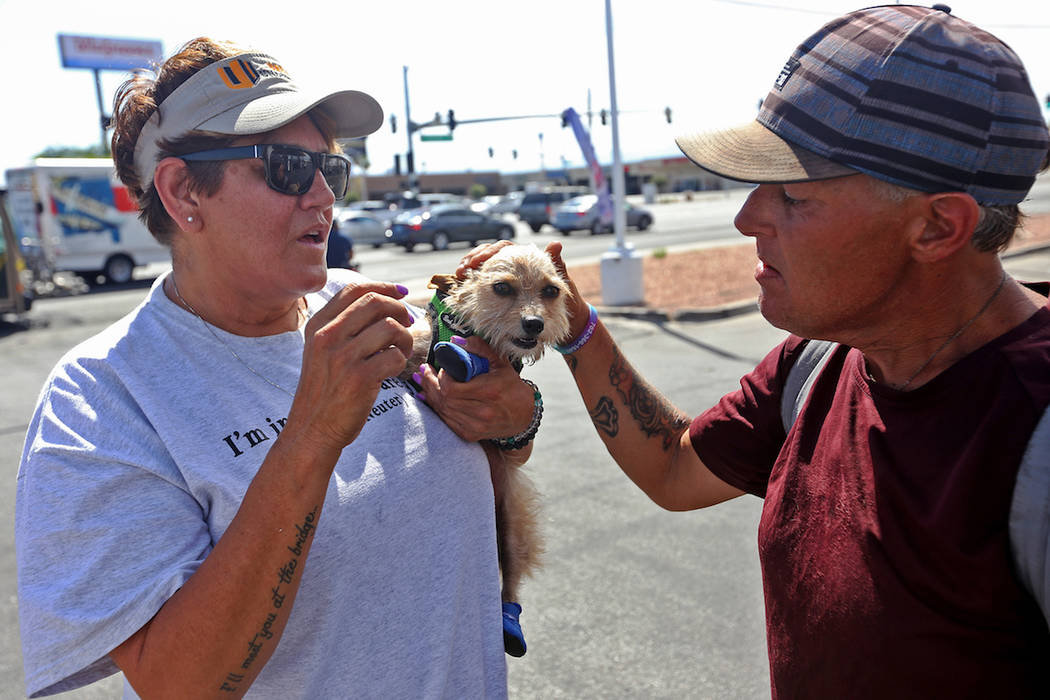 Cynthia Miyamoto, founder of Urban Underdogs, talks to Joseph Woodward while holding his dog Ka ...