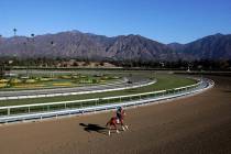 In this Oct. 30, 2013, file photo, an exercise rider takes a horse for a workout at Santa Anita ...