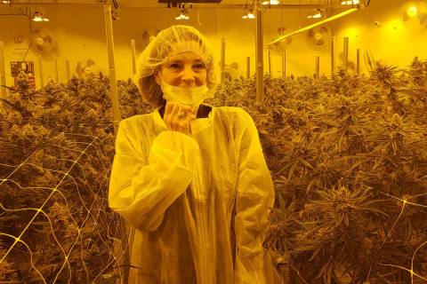 Democratic presidential hopeful Marianne Williamson tours Premium Produce cannabis facility in ...