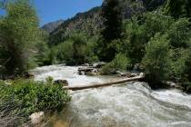 This Monday, June 10, 2019, photo shows the Big Cottonwood Creek, in the Big Cottonwood canyon, ...