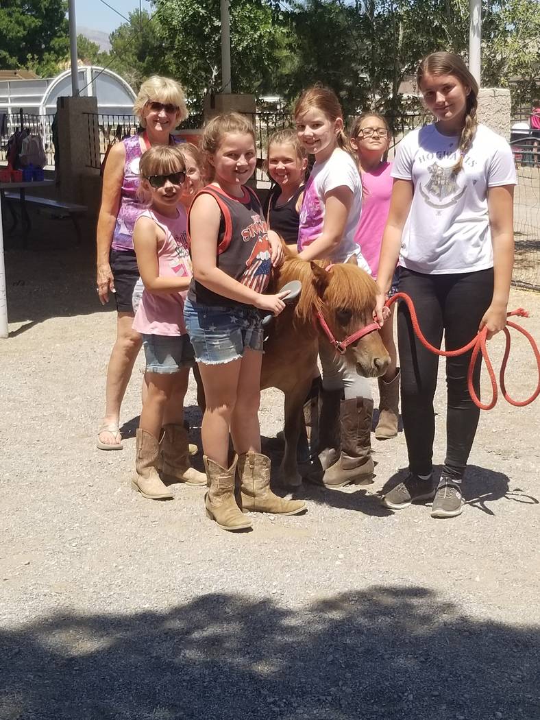 Sydney Knott, left, 62, founder of Horses4Heroes, teaches summer campers how to groom a miniatu ...