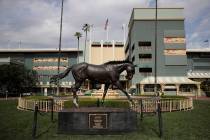 In this March 5, 2019, file photo, a statue of Zenyatta stands in the paddock gardens area at S ...