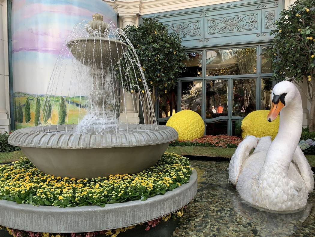 The Bellagio's conservatory has opened its gates to their summer display. (Mat Luschek / Review ...