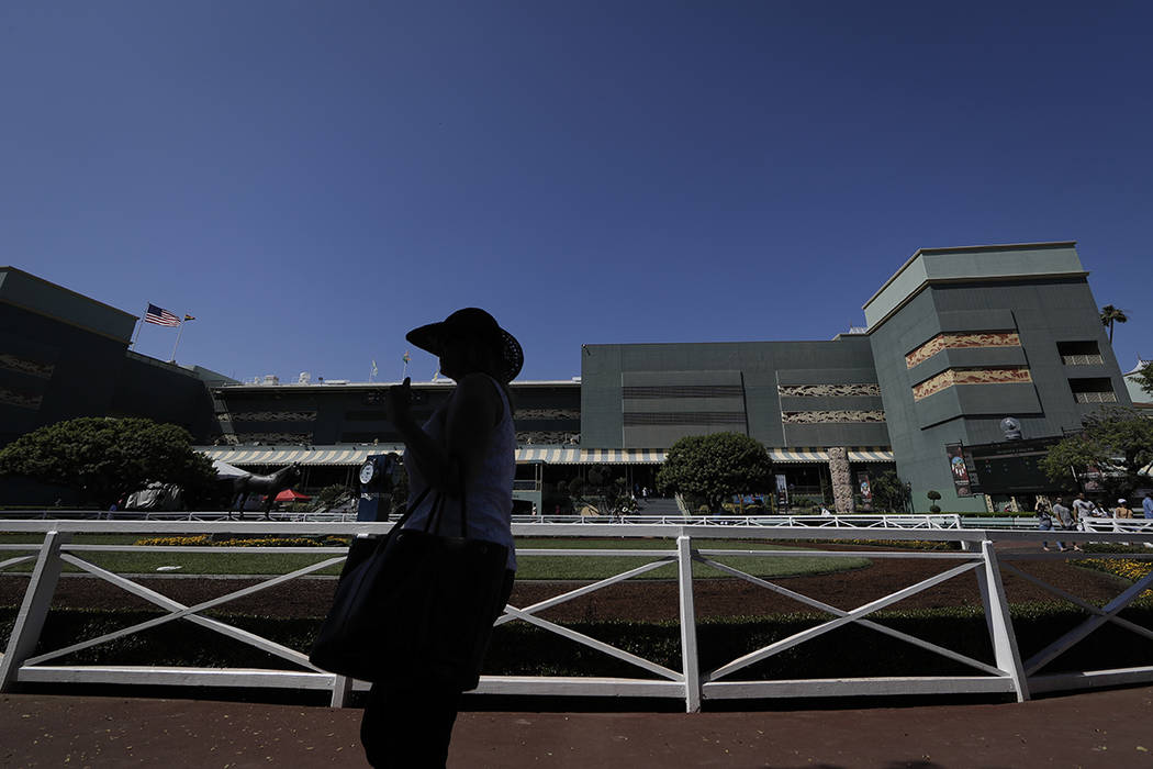 A horse racing fan waits for the fifth race near the paddock during the last day of the winter/ ...