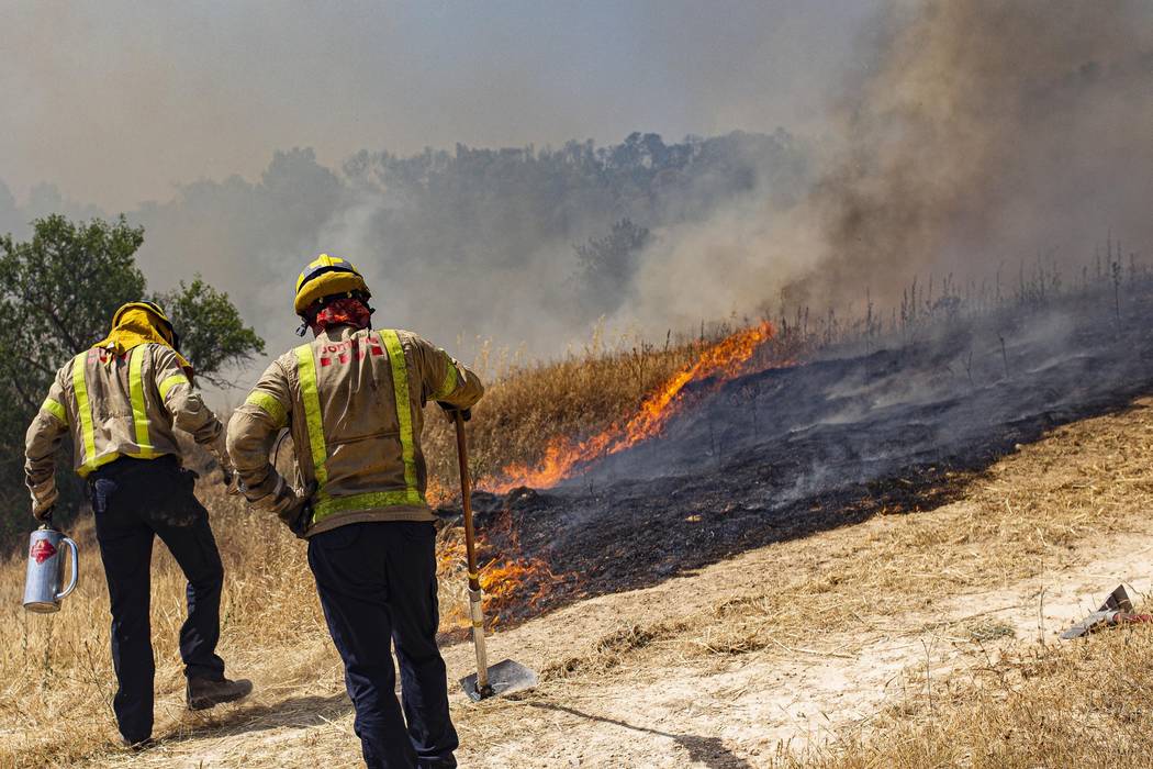 Firefighters try to extinguish a wildfire in Palma d'Ebre, near Tarragona, Spain, Thursday, Jun ...