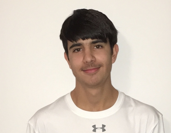 Natale Castelli, Damonte Ranch: The junior was the Division I Northern Region singles runner ...