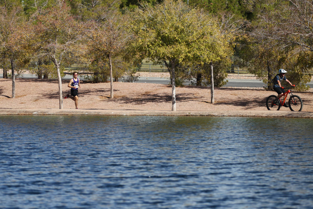 Spanish Springs’ Daniel Horner (377) runs during the NIAA 4A Boys Cross Country State ...