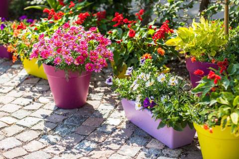 Colorful outdoor flower pots add interest to a small garden, patio or terrace. (GMJ Interiors)
