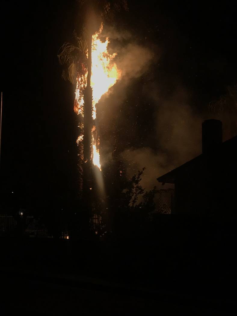 A palm tree at a house on Monroe Avenue and N Street is on fire Thursday, July 4, 2019. (Lukas ...