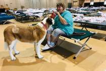 April Hamlin feeds her dog Duchess some crackers in a Red Cross shelter set up for anyone with ...