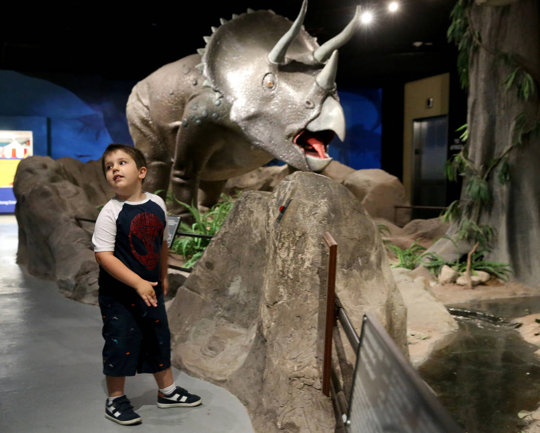 Dylan Steele, 5, of Cibolo, Texas, takes part in "Carnivore Crime Scene: Cretaceous Period" at ...