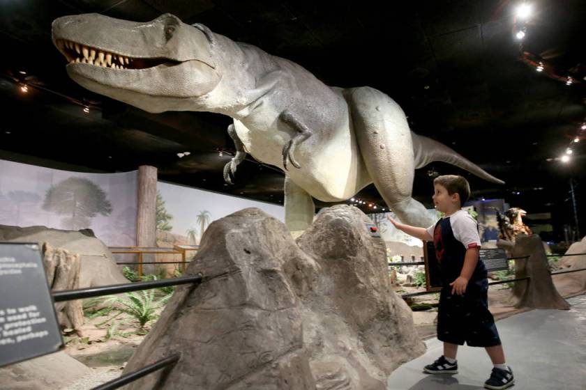 Las Vegas Check out Summer Science Safari at Natural History Museum PHOTOS Las Vegas