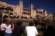 ADVENTURE Race fans check the horses before betting at the Del Mar Thoroughbred Club. (Jeff Sch ...
