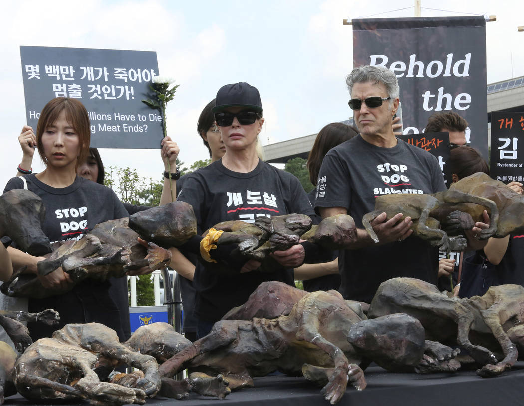 American actress Kim Basinger, center, holds a model of a slaughtered dog during a rally to opp ...