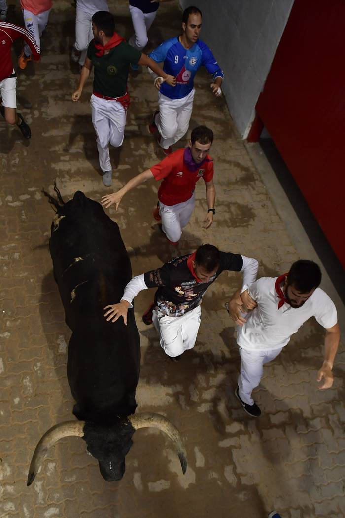 Revellers run next to fighting bulls during the running of the bulls at the San Fermin Festival ...