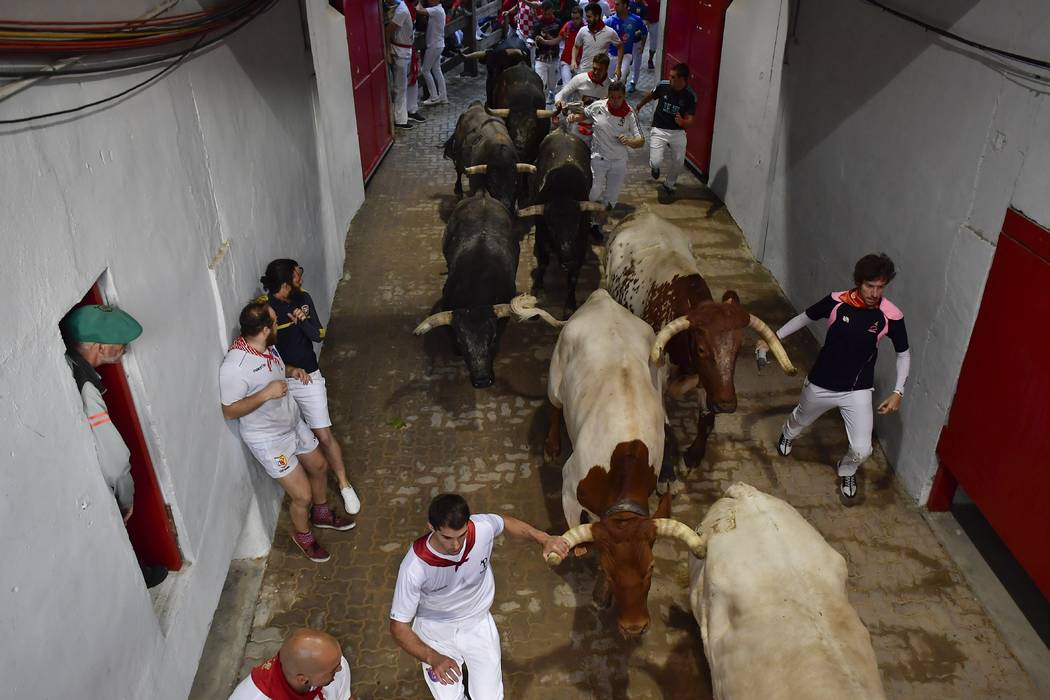 Revellers run next to fighting bulls during the running of the bulls at the San Fermin Festival ...