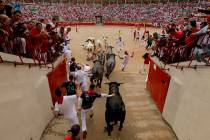 Revellers and fighting bulls arrive at the bullring during the running of the bulls at the San ...