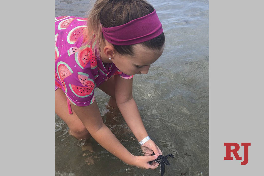 Samantha Kohl, 10, puts her hands around a baby leatherback turtle in Boca Raton, Fla., on July ...