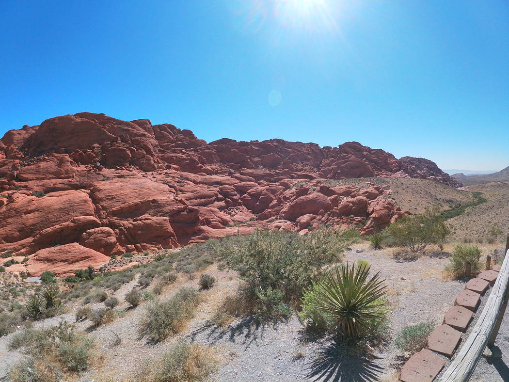 The Red E Bike offers tours of Red Rock Canyon's Scenic Loop from an electric bike. (Mat Lusche ...