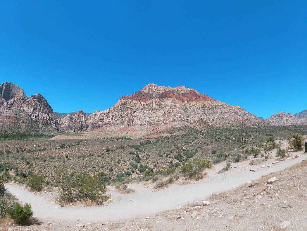 The Red E Bike offers tours of Red Rock Canyon's Scenic Loop from an electric bike. (Mat Lusche ...