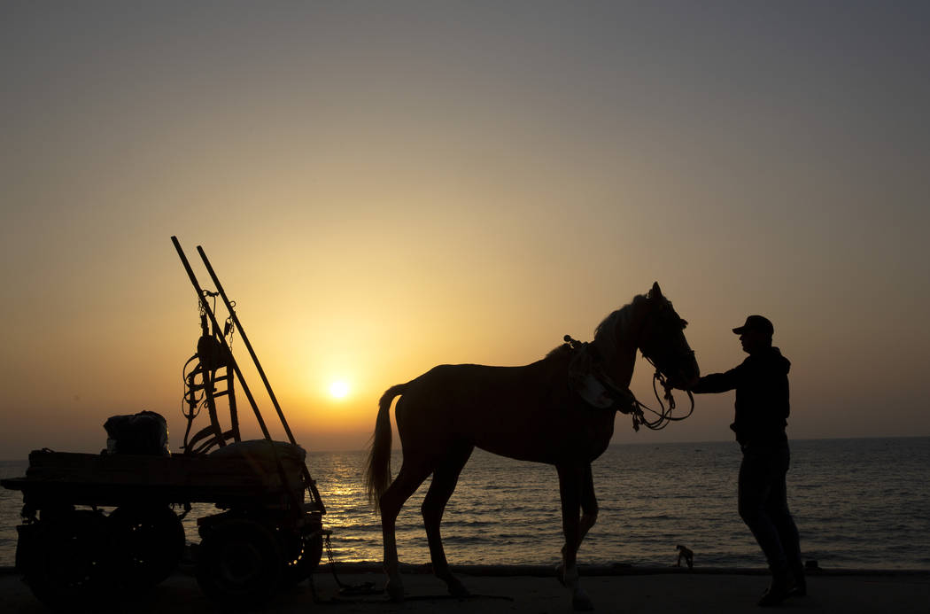 A Palestinian holds his cart-towing horse from the sea at sunset at beach in Gaza City, Thursda ...