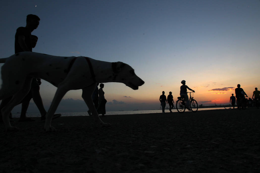 A pedestrian walks with his dog on the seaside promenade during a warm summer sunset, in the no ...