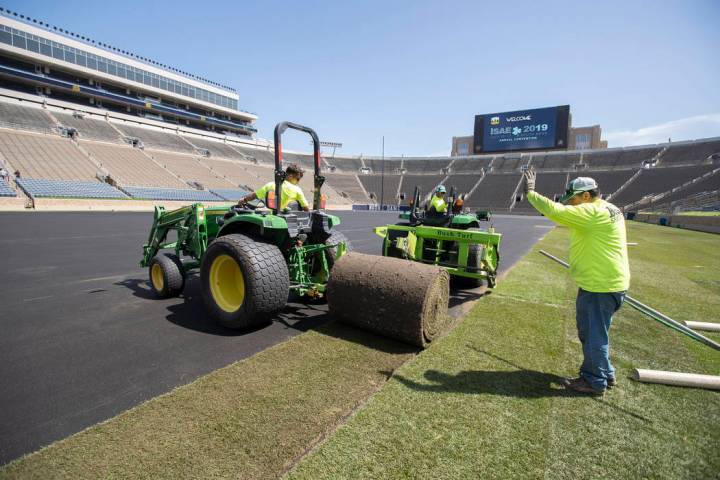 Natural turf is installed at Notre Dame Stadium in preparation for a professional soccer match ...