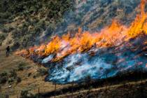 In a July 30, 2018, file photo, firefighters control the Tollgate Canyon fire as it burns near ...