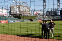 Security personnel at Guaranteed Rate Field are viewed through the newly extended protective ne ...