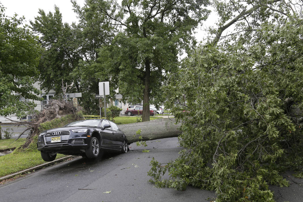 A car is crushed under a large tree in Neptune City, N.J., Tuesday, July 23, 2019. Crews are wo ...