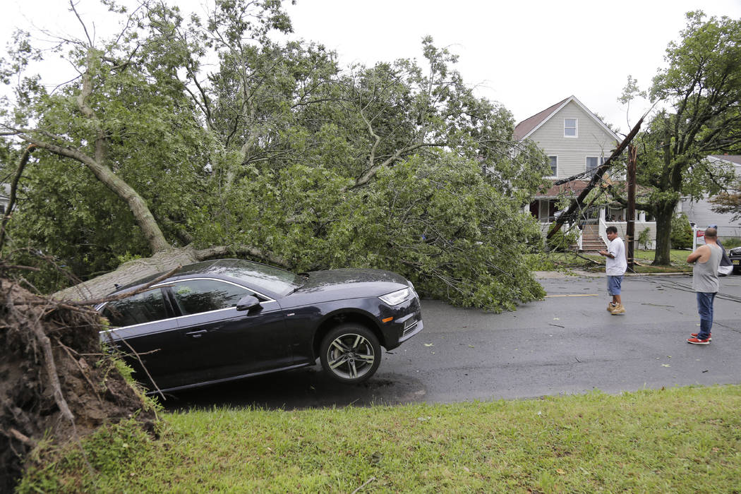 A car is crushed under a large tree in Neptune City, N.J., Tuesday, July 23, 2019. Crews are wo ...