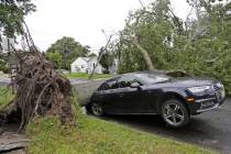 A car is crushed under a large tree in Neptune City, N.J., Tuesday, July 23, 2019. Crews are wo ...