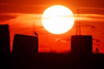 A bird sits on a straw bale on a field in Frankfurt, Germany, as the sun rises on Thursday, Jul ...