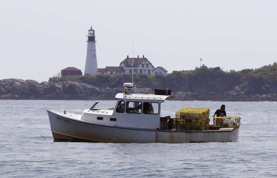 FILE - In this August 2018 file photo, a lobsterman tends to his traps off Cape Elizabeth, Main ...
