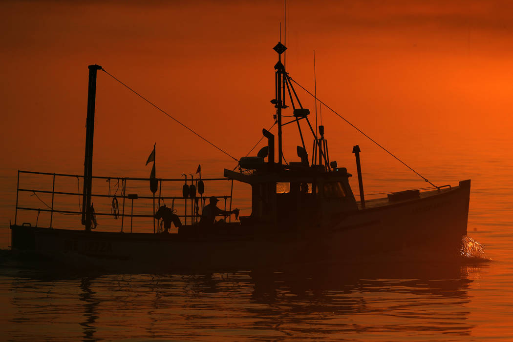 FILE - In this July 2019 file photo, a lobster boat heads out to sea at dawn off South Portland ...