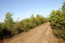The Stampede Road becomes a narrow, rutted four-wheel drive trail after eight miles from its in ...