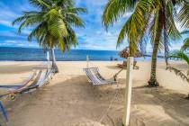 The Belize Tourism Board has offered Rachel residents a free weekend trip to its nation during ...