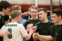Palo Verde players celebrate a play during a match against Coronado for the Sunset Region vo ...