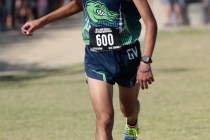 Milton Amezcua finished 17th in last year’s Class 4A state meet. Donavon Lockett/Las V ...