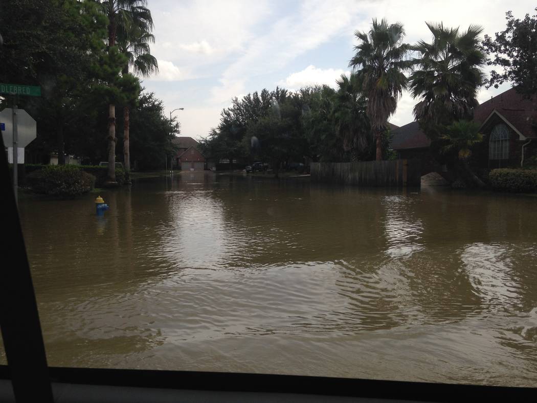 Noah MacFawn, who plays in Southern Nevada Golf Association events, witnessed the Hurricane ...